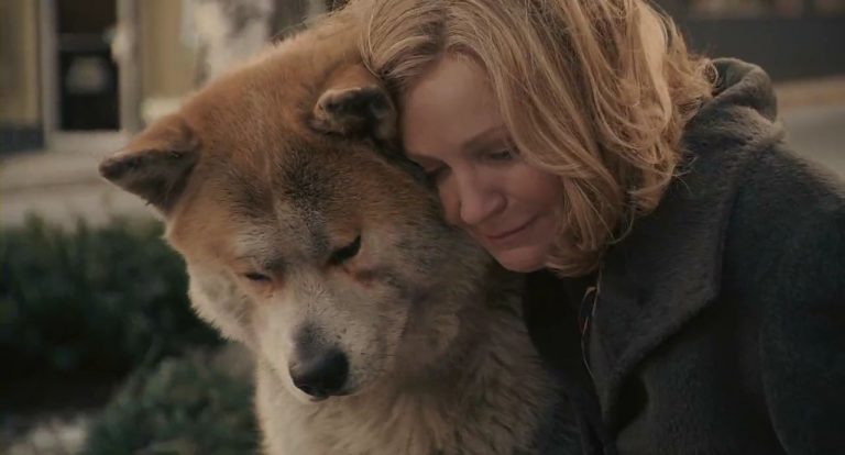 10 Best Dog Movies of All Time