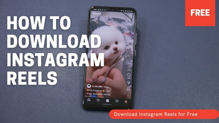 How To Download Instagram Reels of Any Account?