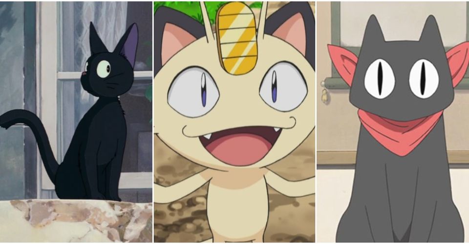 Anime Cats Feature