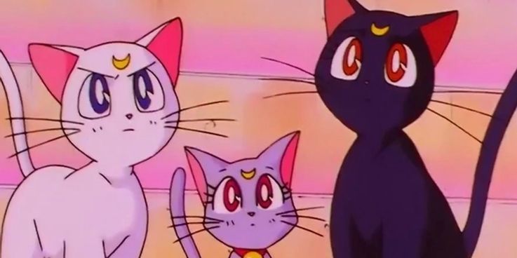 25 Adorable Anime Cats that will Make you Say ‘Awww’