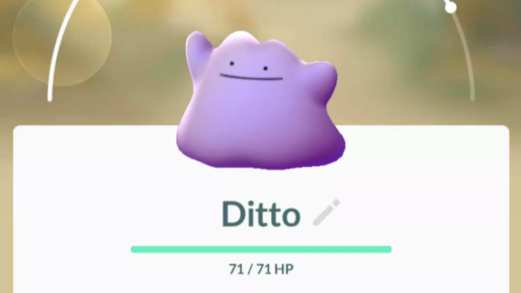 How to Catch a Ditto in Pokemon Go?