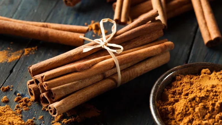 Top 13 Health Benefits of Cinnamon