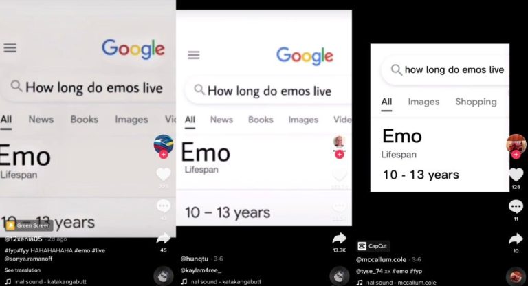 How Long Do Emos Live? Joke Explanation
