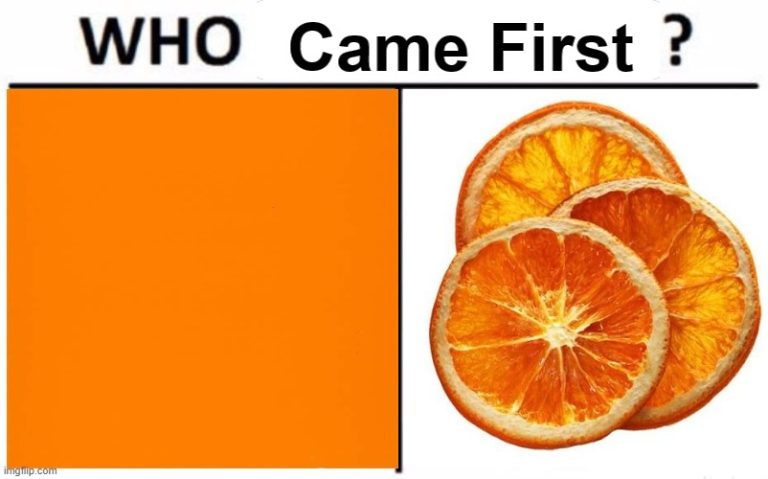 Is Orange a Fruit or Color? We Have Some Explanation