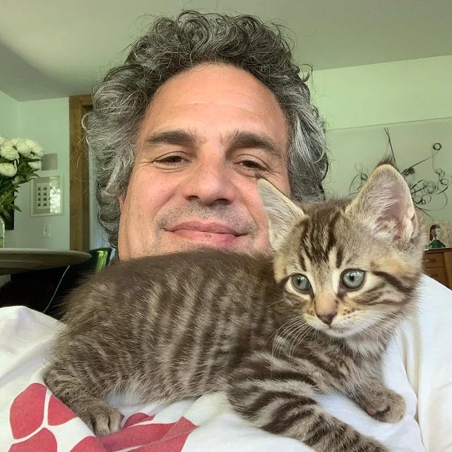 Mark Ruffalo Celebrates National Pet Day by Sharing Cute Pics with His Cats