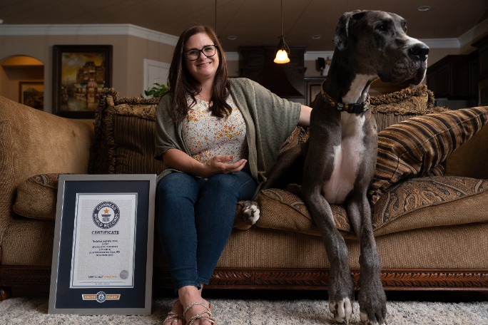 Guinness World Records Confirms Zeus as the World’s Tallest Living Male Dog