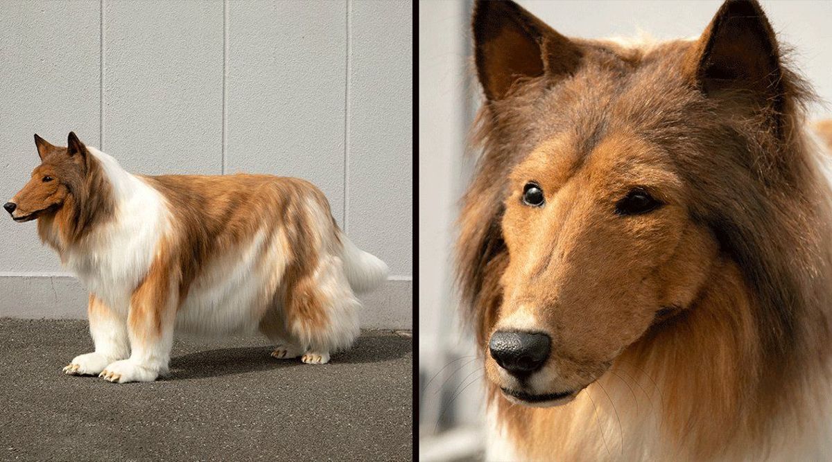 Japanese man spends £12,000 on realistic dog costume so he can