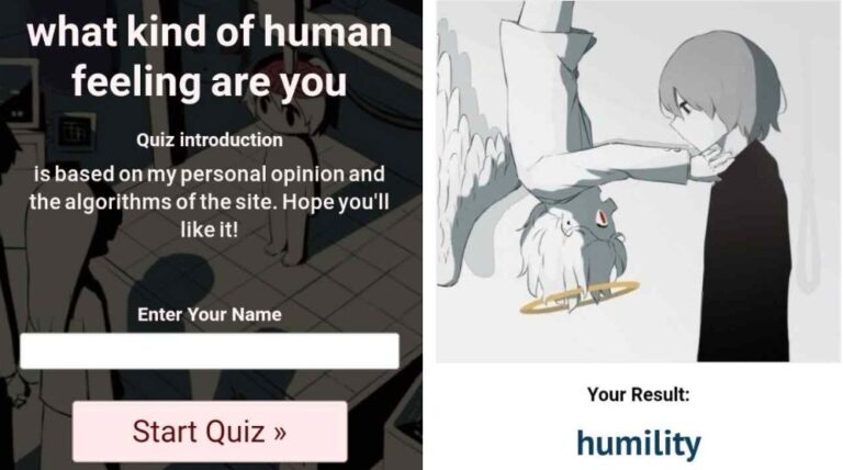 Viral Human Feeling Quiz: What is it and How to Take it?