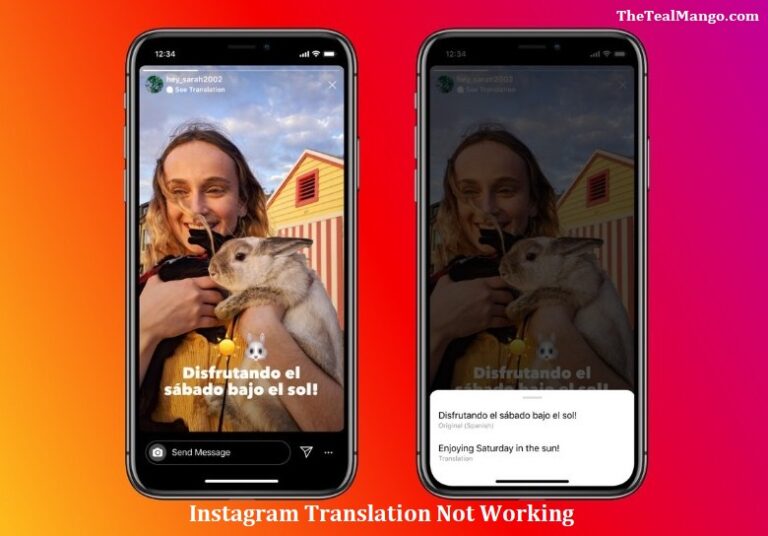 Instagram Translation Not Working: Find out How to Fix it?