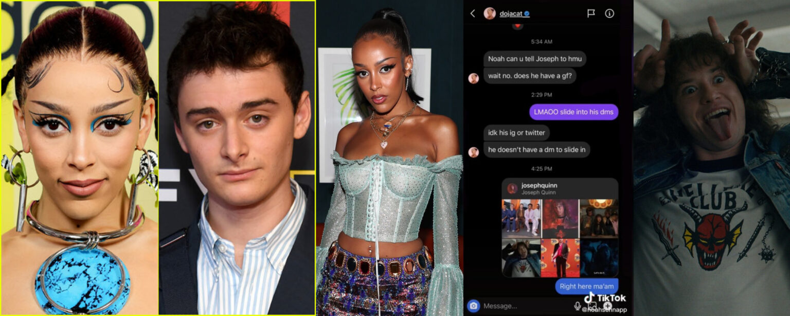 Doja Cat loses 200,000 followers after Noah Schnapp flap - Los