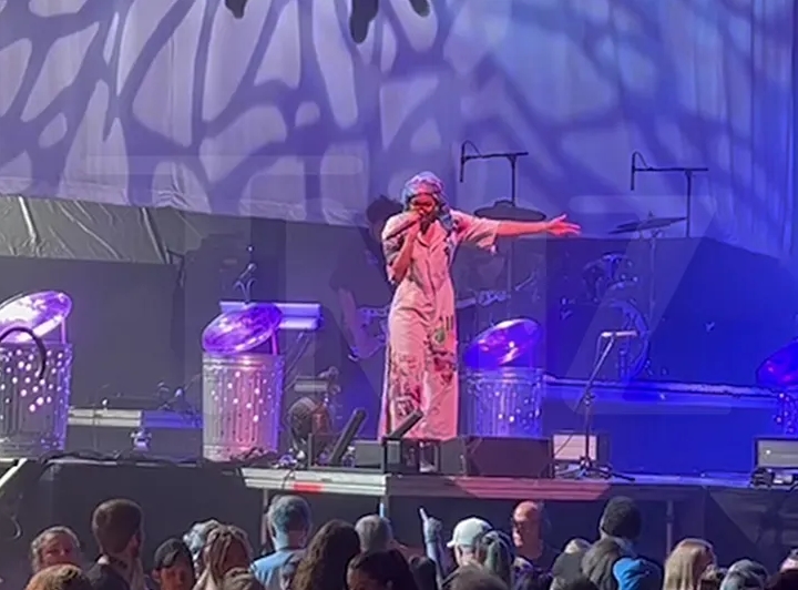 Video: Willow Smith Stops Concert After Fan Faints in Crowd